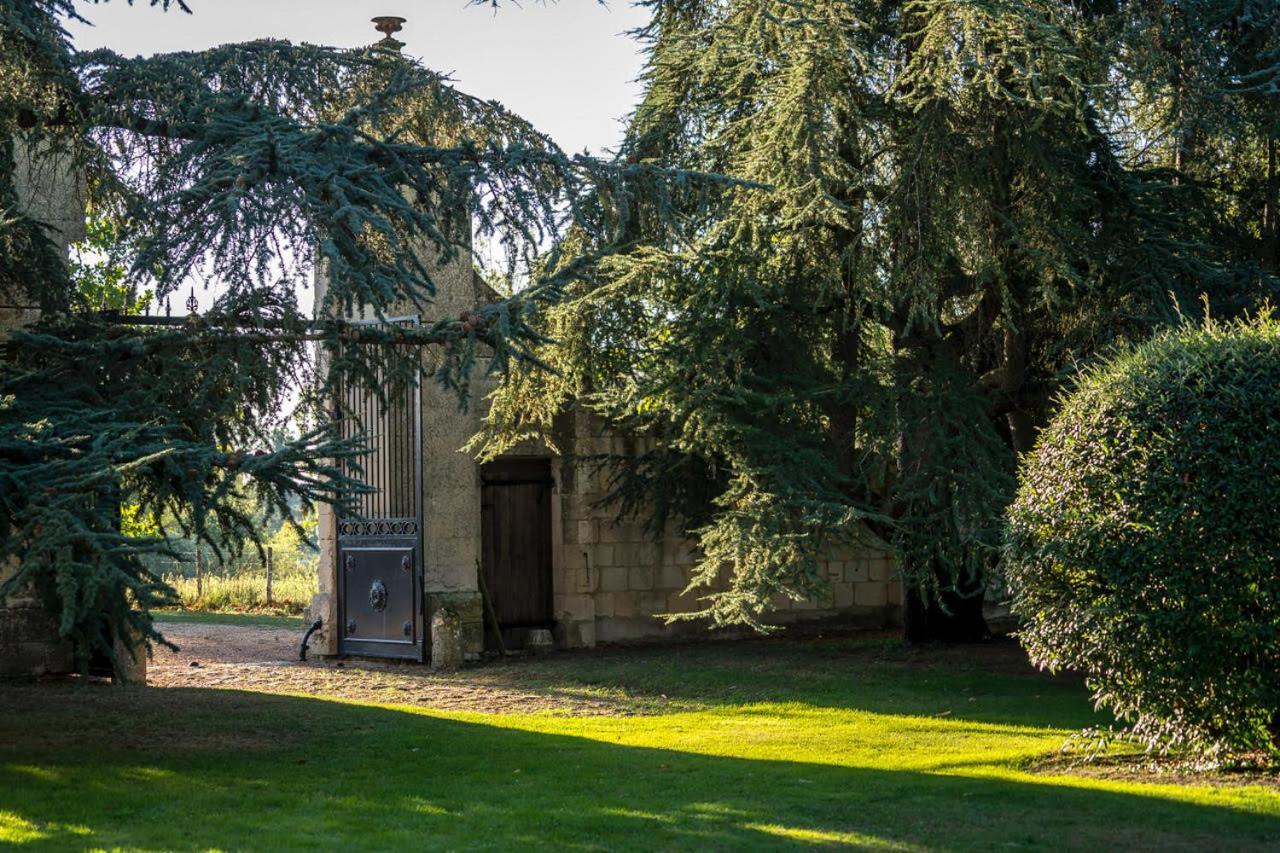 Château de la Ronde Vivy Exterior foto